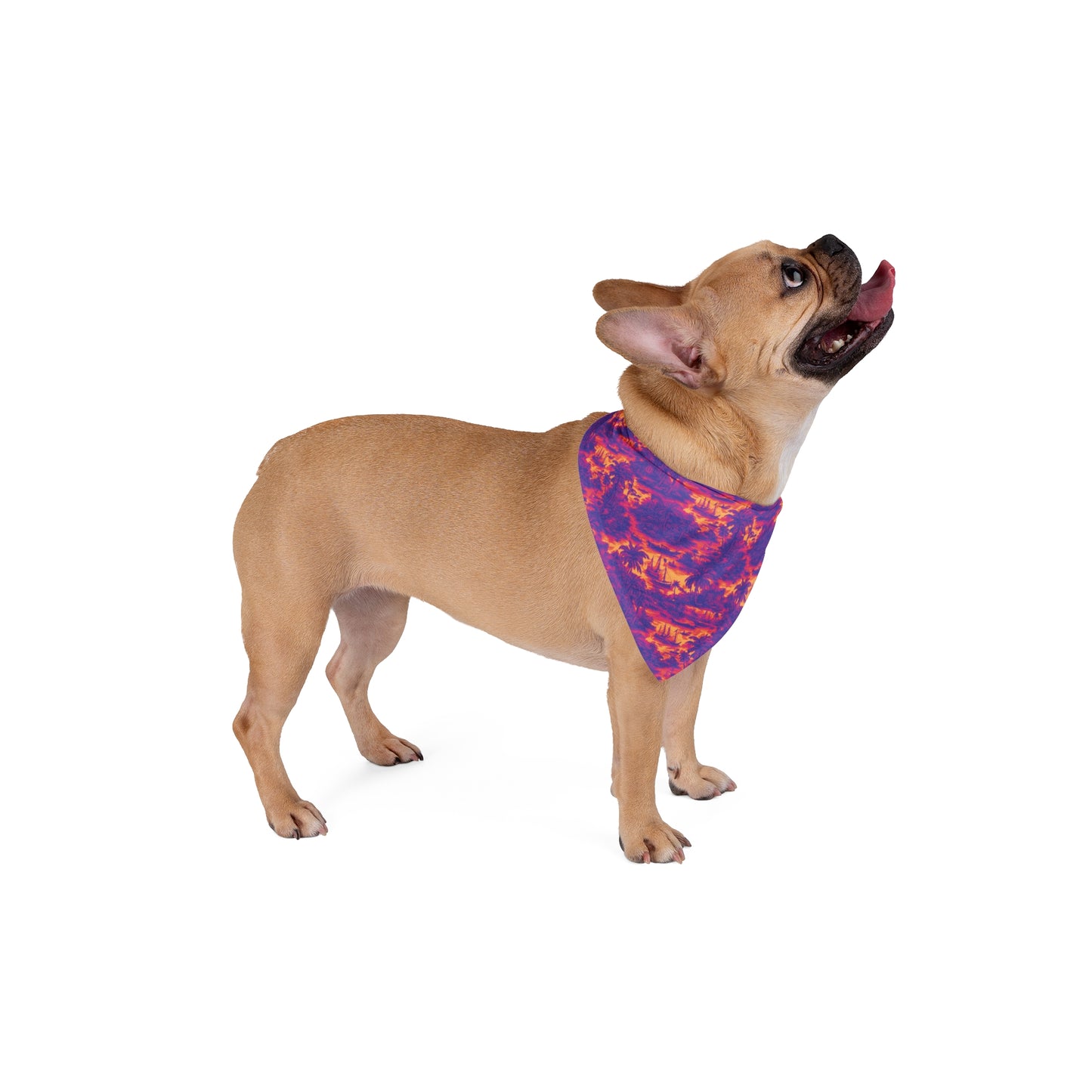 Heatwave Troipcal Toile Pet Bandana, 2 Sizes - Stylish accessory for dogs & cats