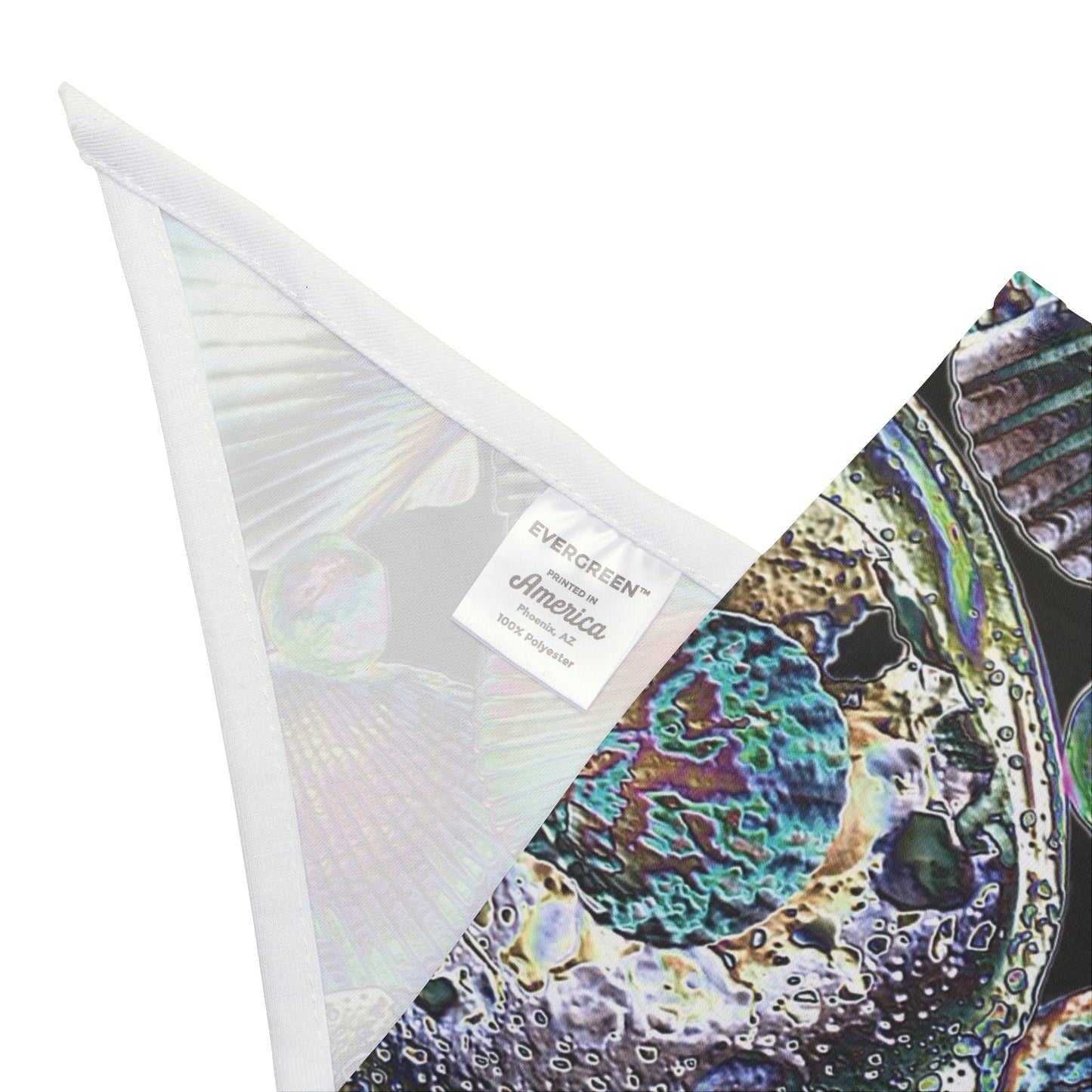 Heatwave Seashell Collection Tropical Pet Bandana, 2 Sizes - Stylish accessory for dogs & cats