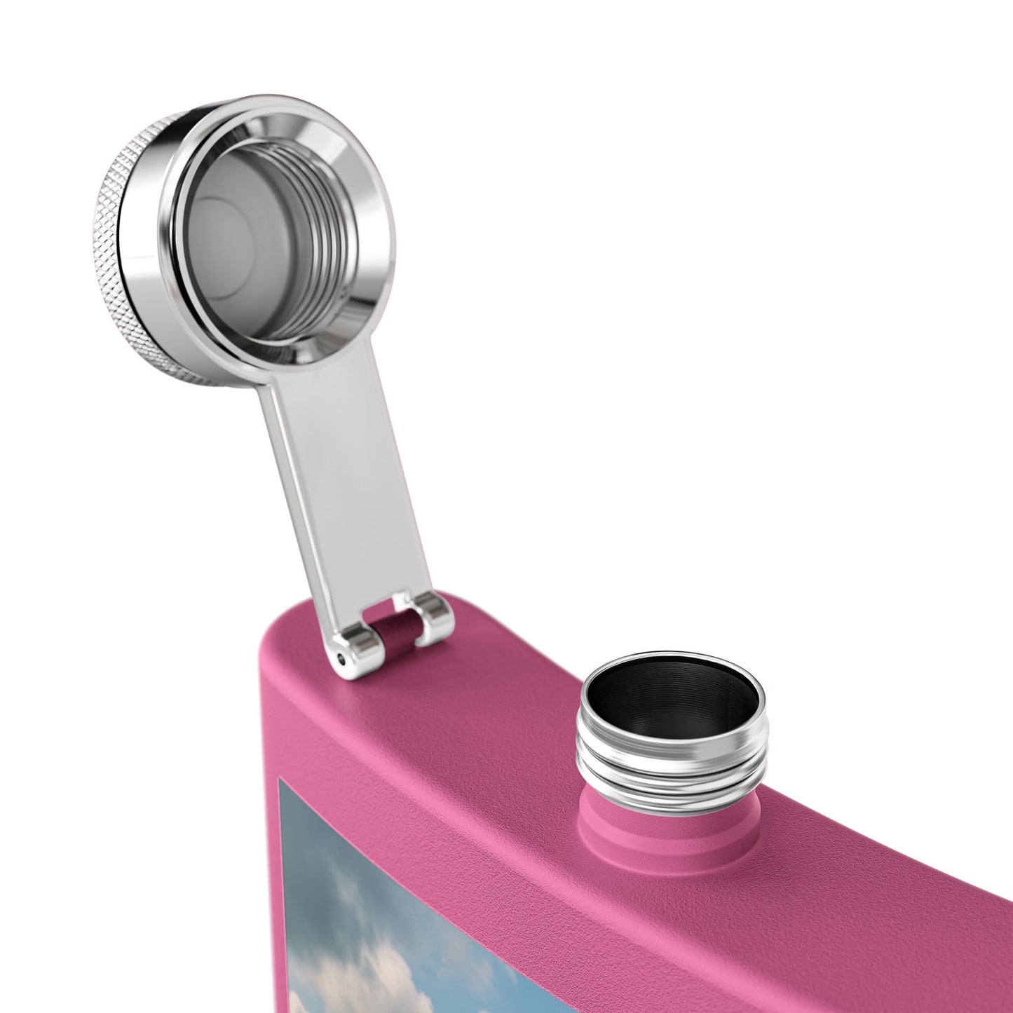 Tropical Stainless Steel 6 oz. Flask, Many Colors  – UFO and Dolphin