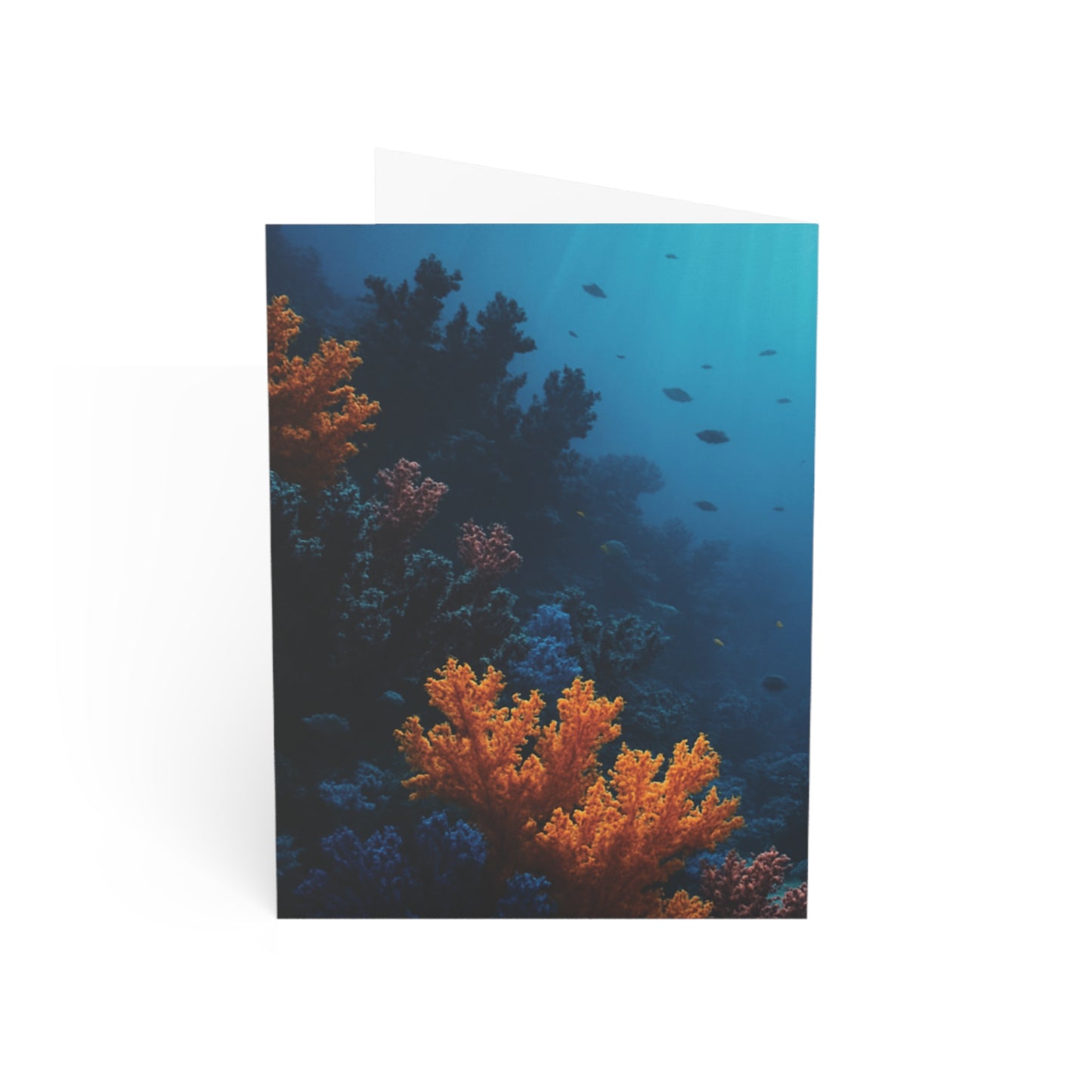 Tropical Greeting Cards – Set of 1, 10, 30 or 50 – Black & Orange Coral
