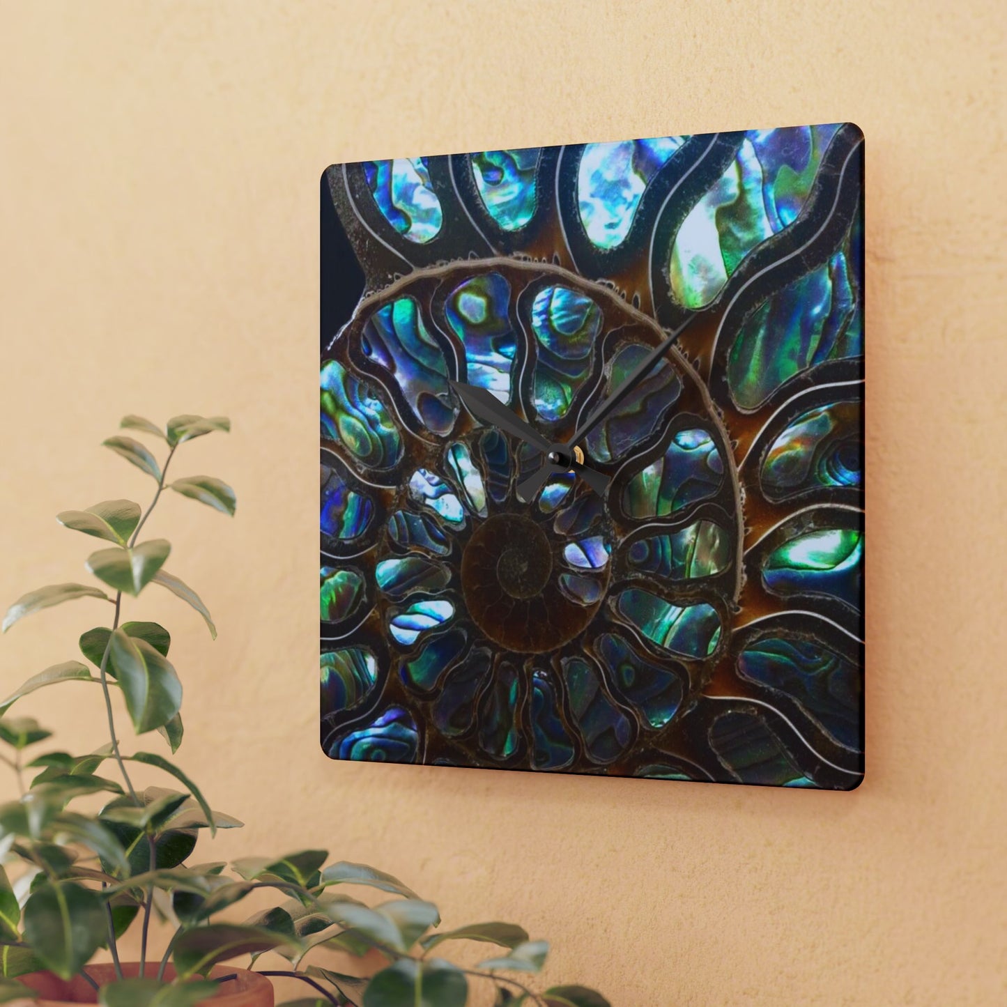 Acrylic Wall Clock, Ammonite & Abalone, 4 Variants