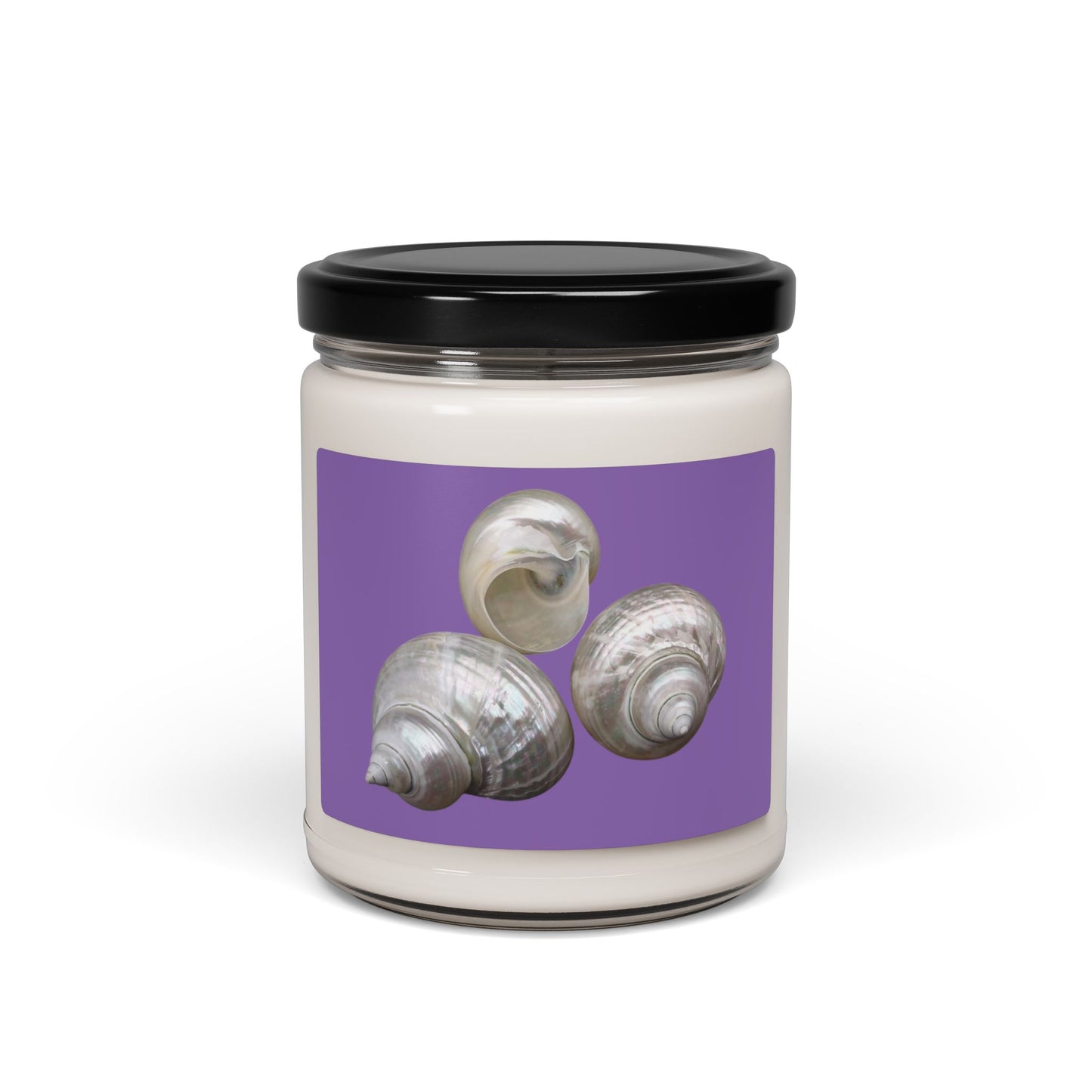 Scented Soy Candle, 9oz, White Nautilus Trio, light purple