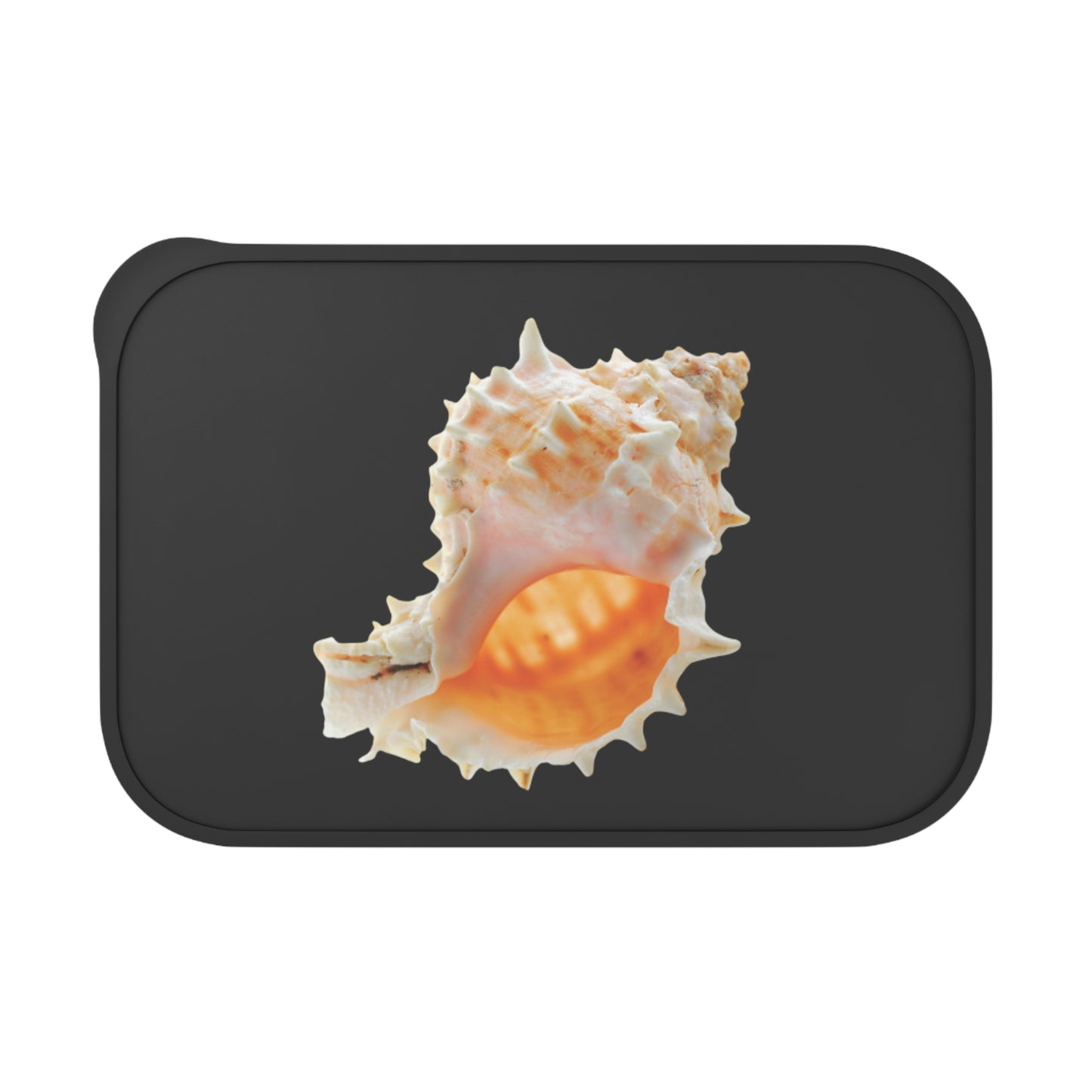 Bento Box with Utensils - Conch Shell