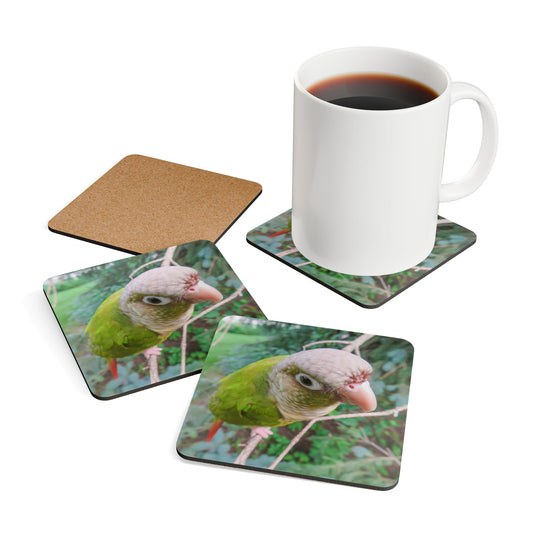 Coaster Set - Watchful Parrot