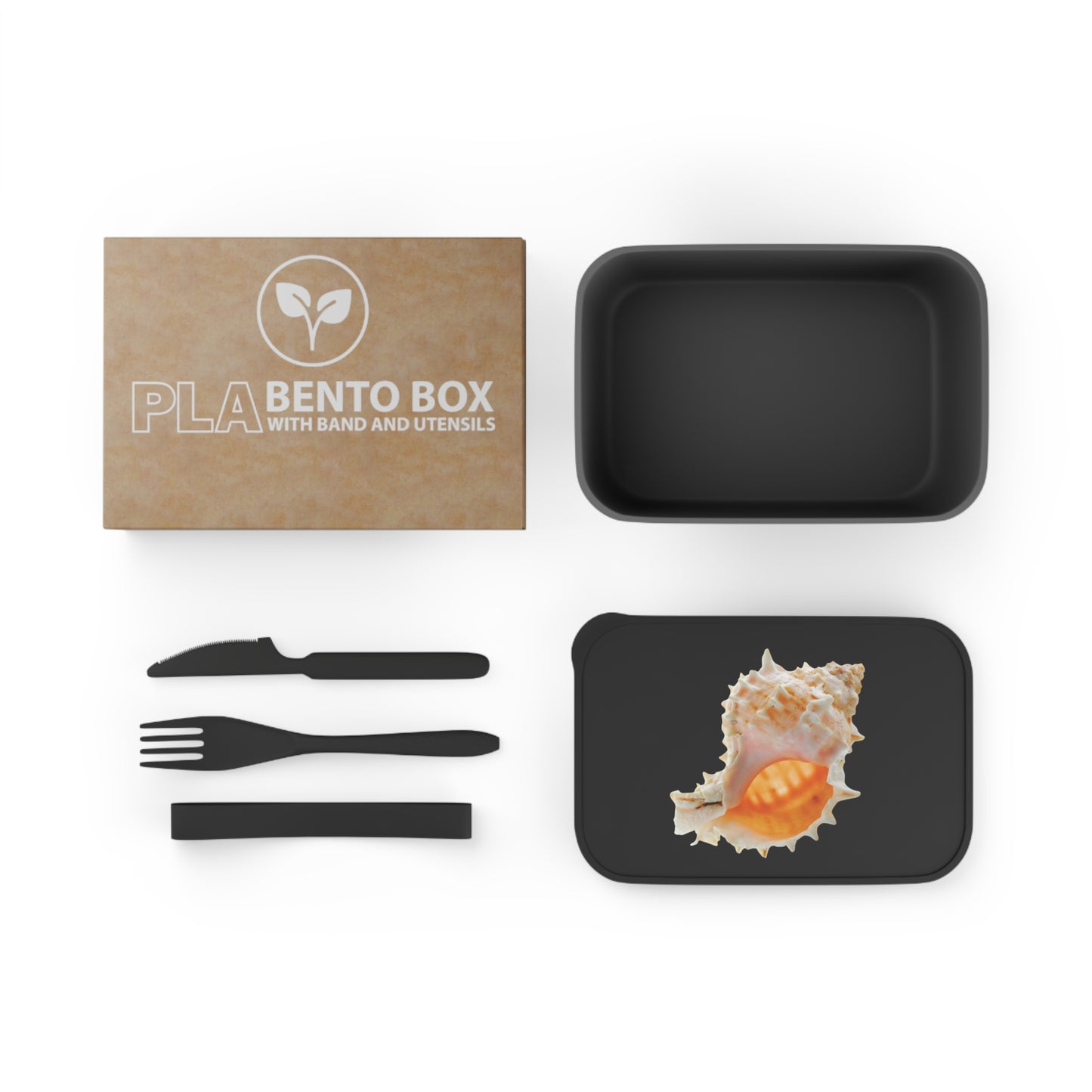 Bento Box with Utensils - Conch Shell