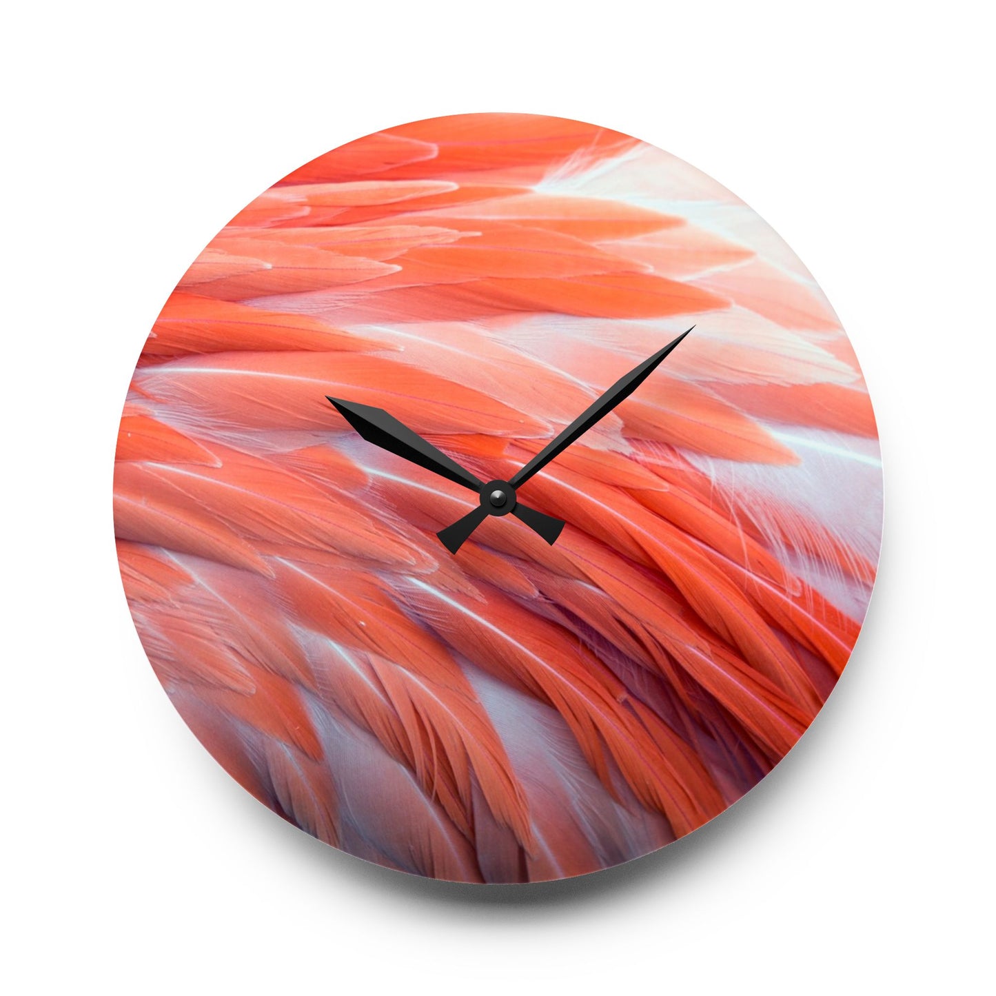 Acrylic Wall Clock, Real Flamingo Feathers