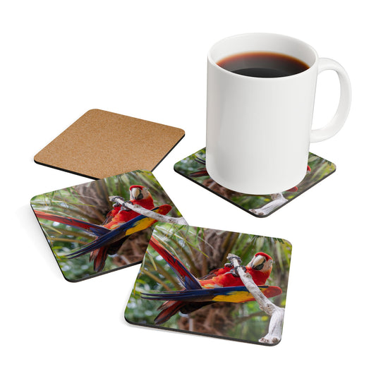 Coaster Set - Gymnast Parrot