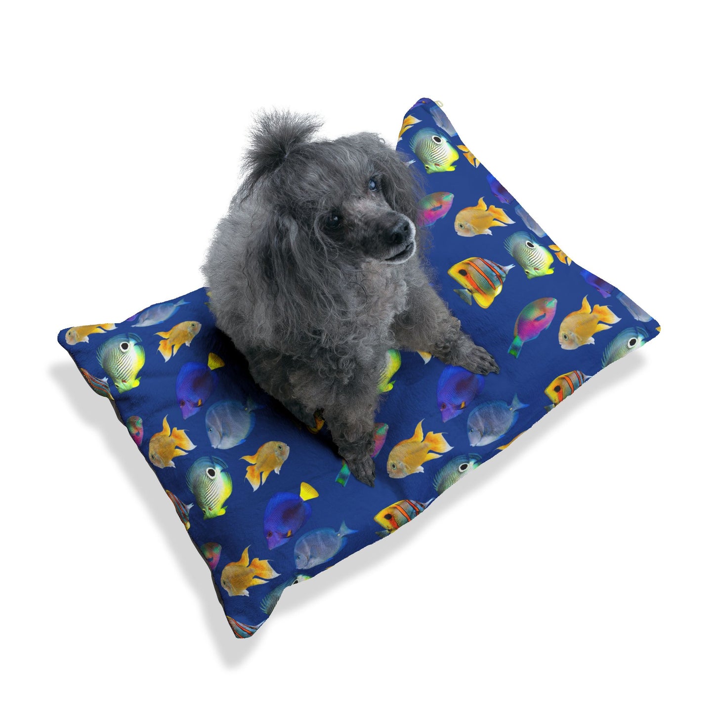 Pet Bed - Cozy and Fun Dog or Cat Bed for Beach Lovers / School of Fish, Dark Blue