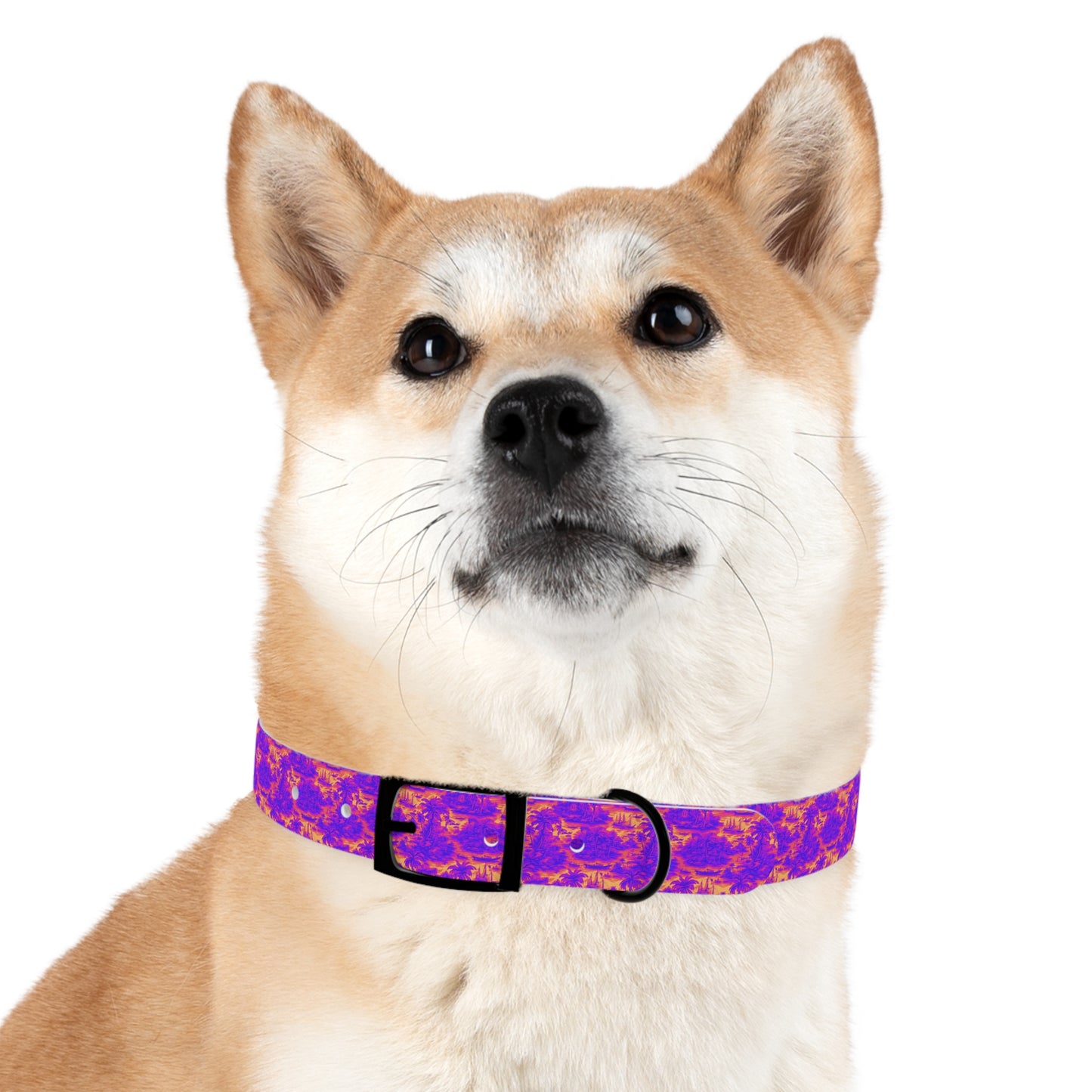 Dog Collar - Crazy Cool Tropical Toile