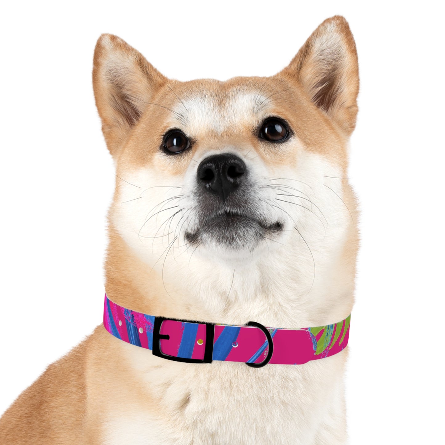 Dog Collar - Exotic Flora