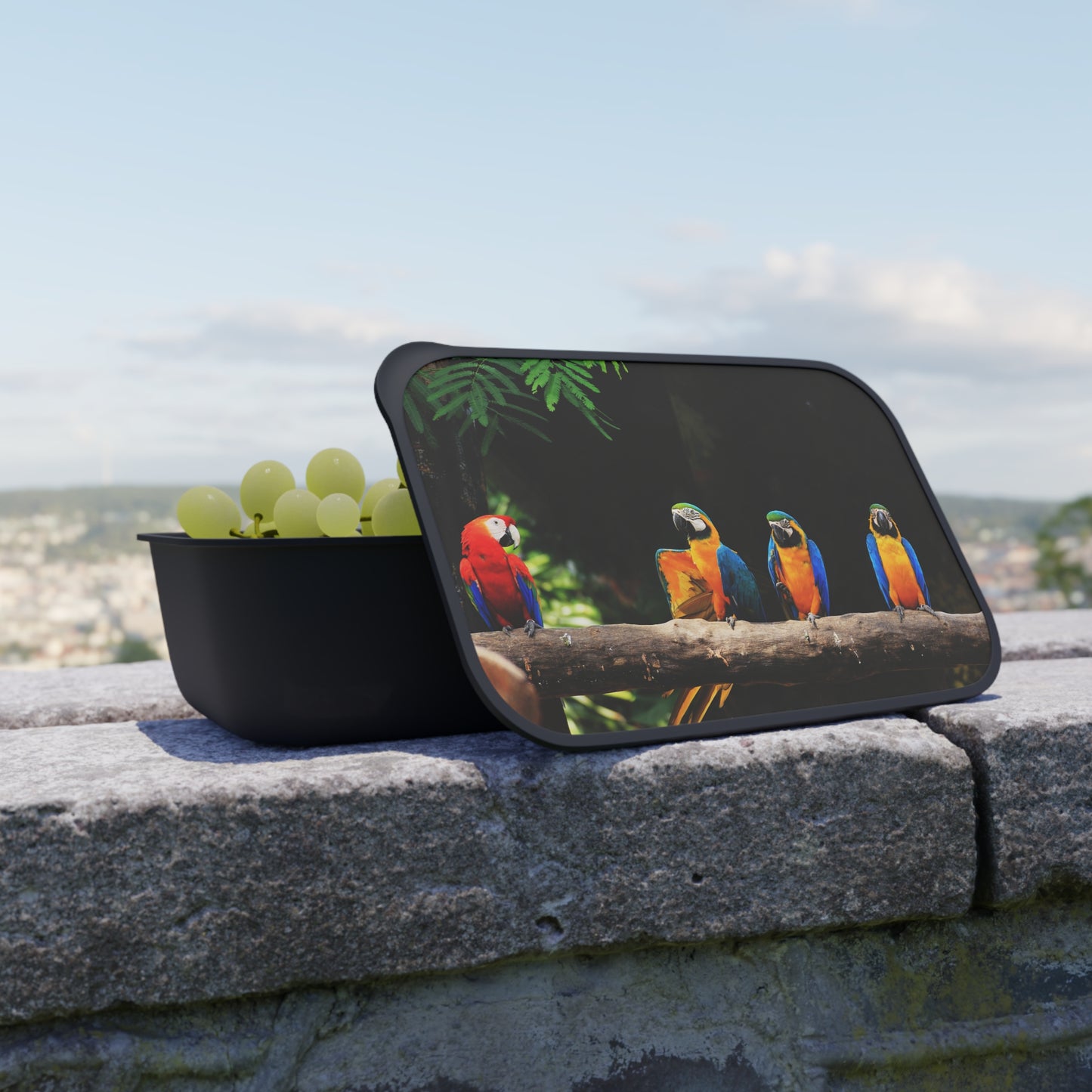 Bento Box with Utensils - Surprising Parrot News