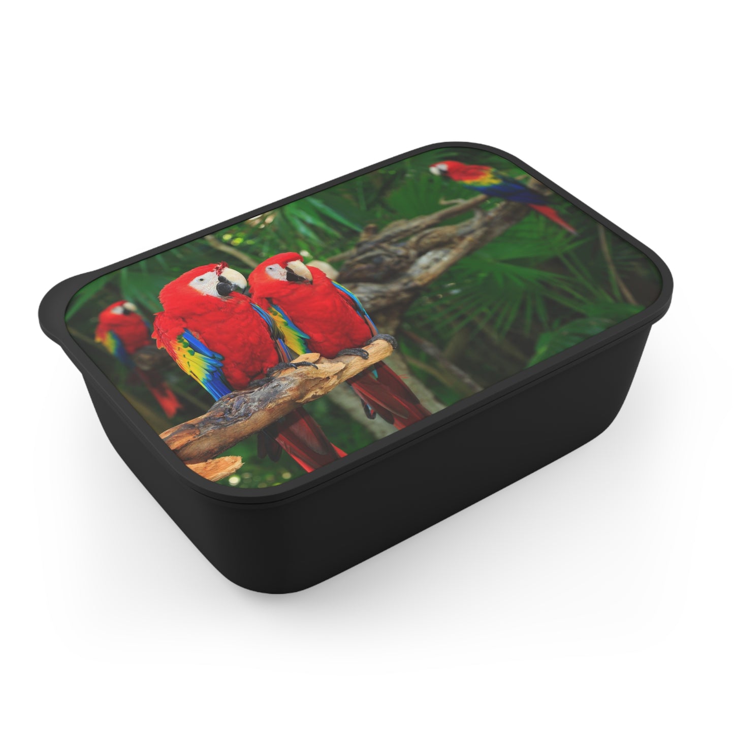 Bento Box with Utensils - Best Buddies