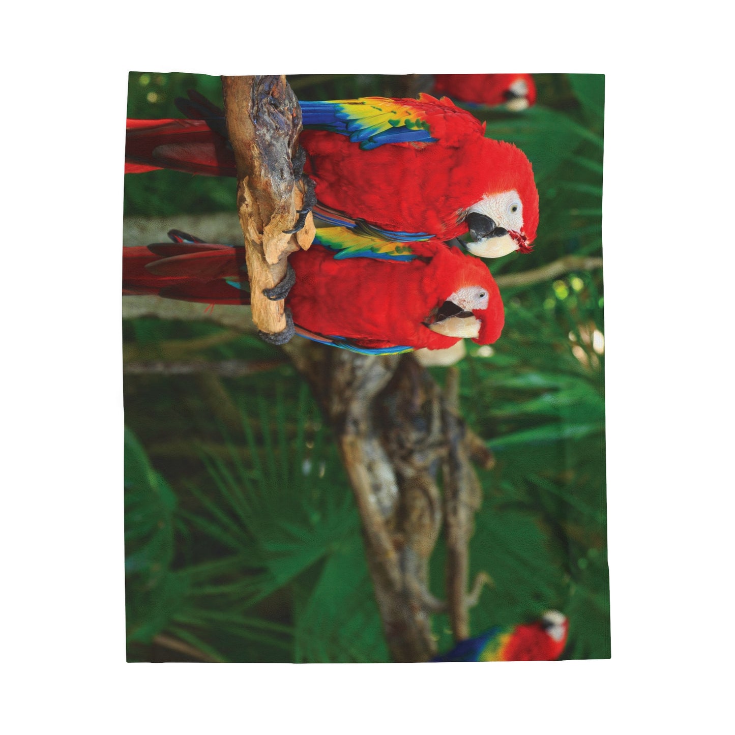 Tropical Parrot Velveteen Plush Blanket - Cozy Home Decor for Nature Lovers