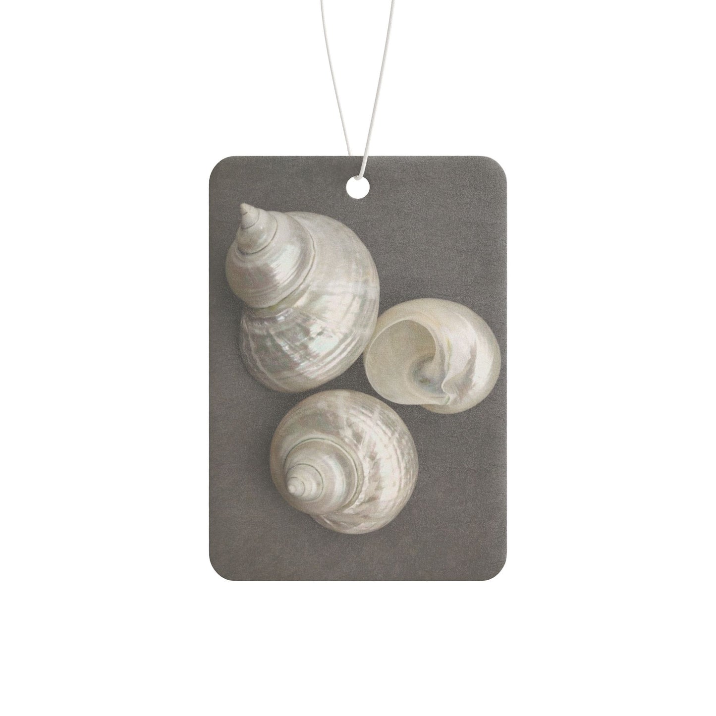 Car Air Freshener - White Nautilus Trio