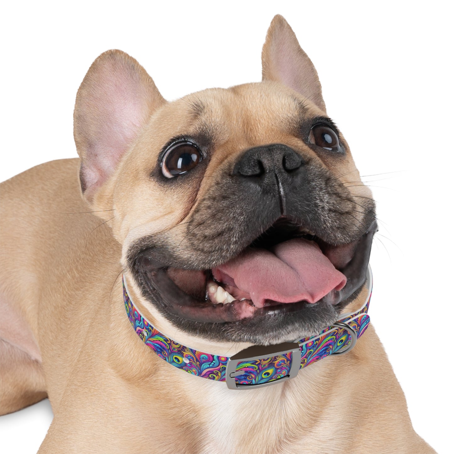 Tropical Dog Collar - Fun and Playful Pet Accessory / Feather Currents Pop