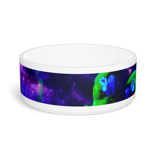 Pet Bowl, Galactic Parrot