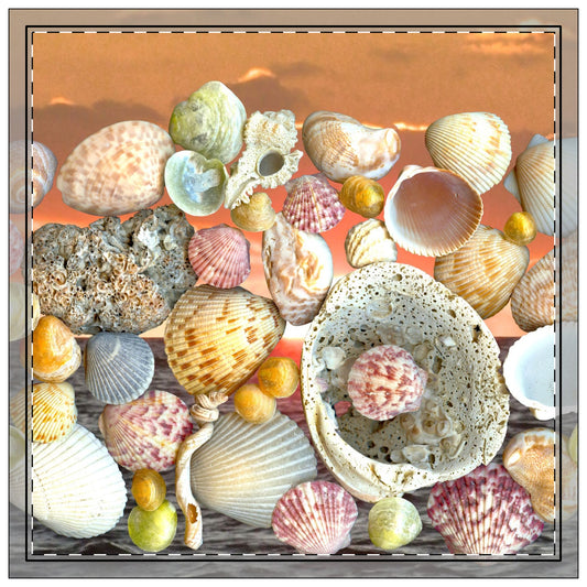 Sky/Ocean Seashell Collection Polyester Napkins | SET of 4 | Stylish Table Decor