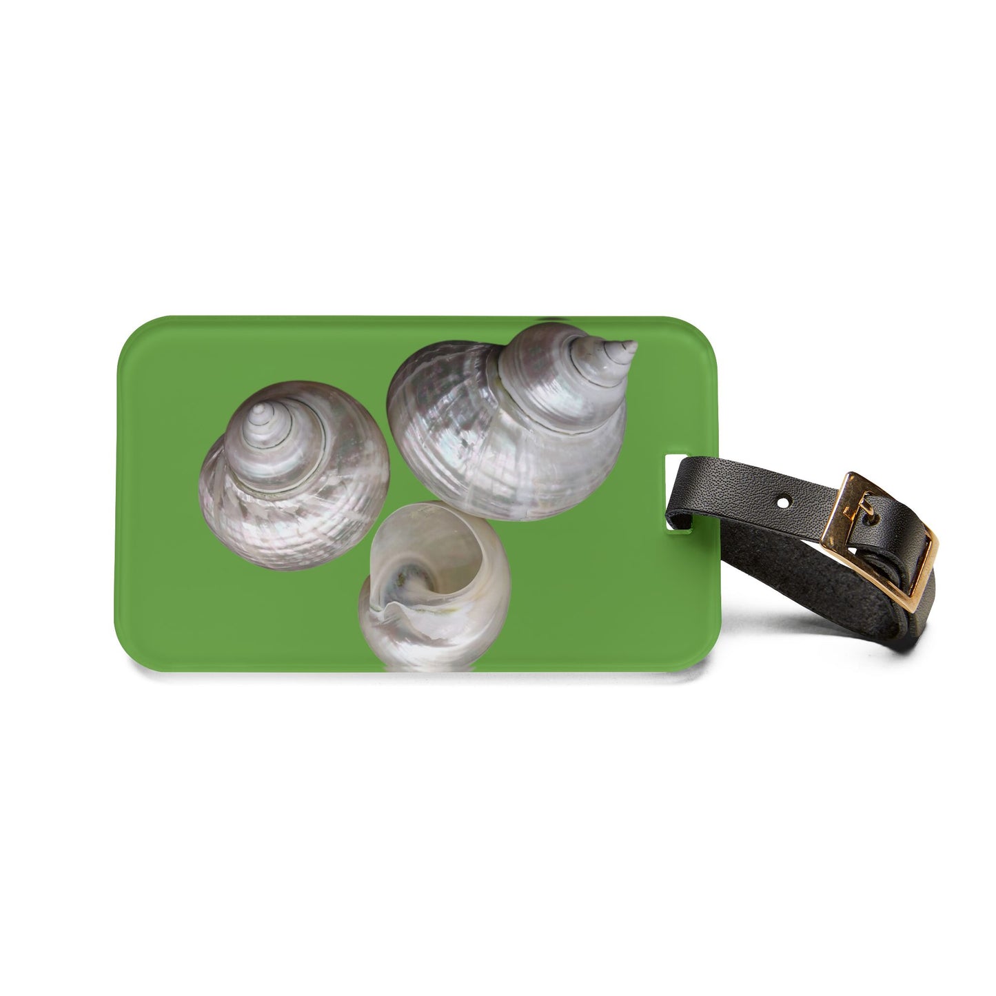 Luggage Tag - White Nautilus Trio, green