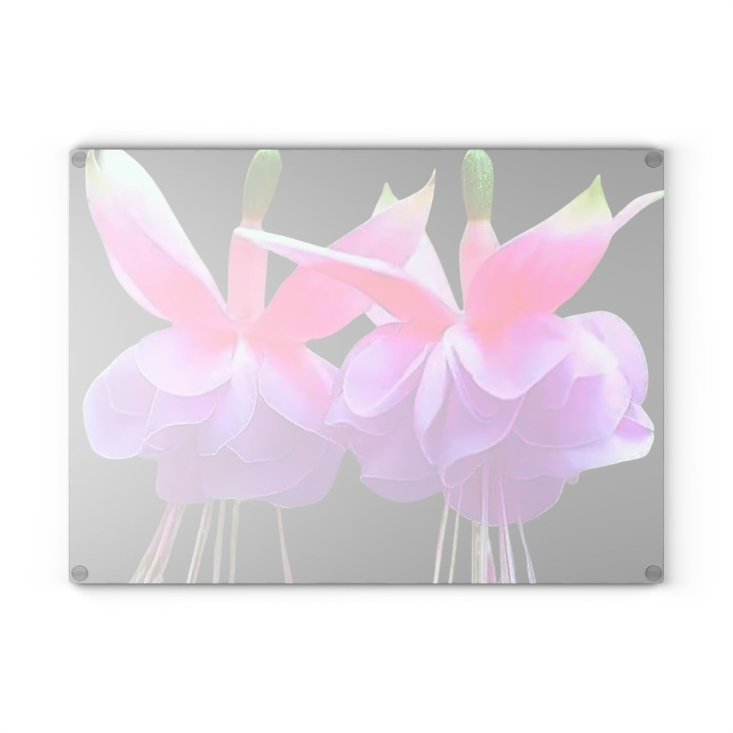 Glass Cutting Board, 2 sizes - Two Fuchsias Black MACRO