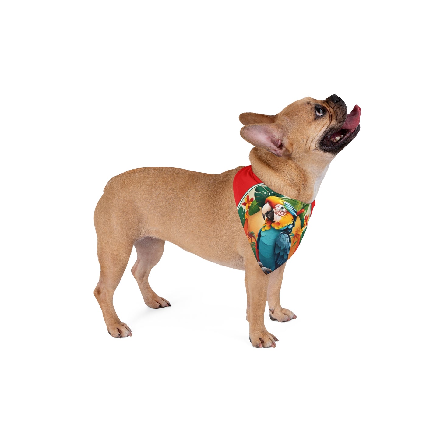 Red Parrot Friend Tropical Pet Bandana, 2 Sizes - Stylish accessory for dogs & cats