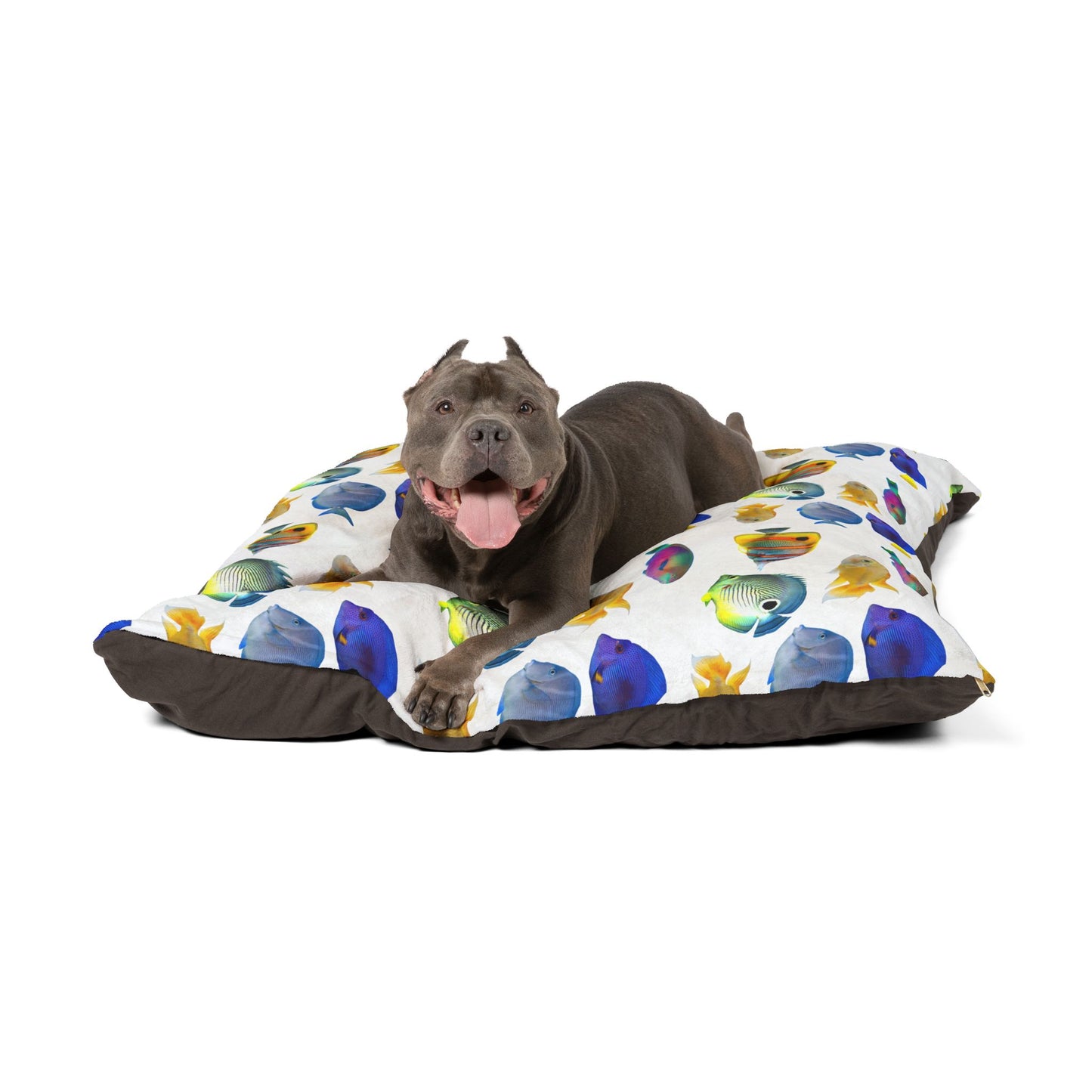 Pet Bed - Cozy and Fun Dog or Cat Bed for Beach Lovers / School of Fish