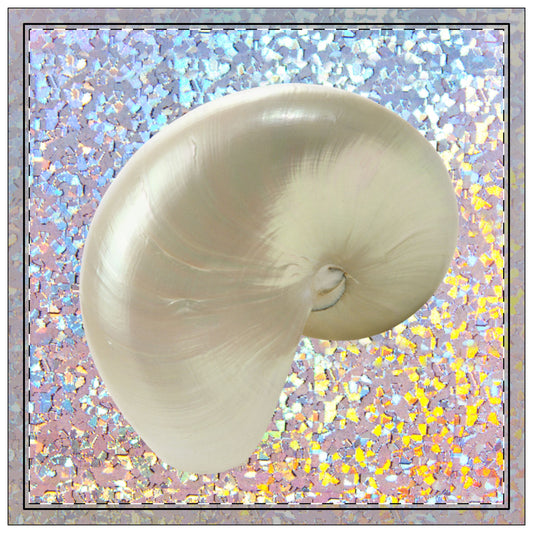 Disco White Nautilus Polyester Napkins | SET of 4 | Stylish Table Decor