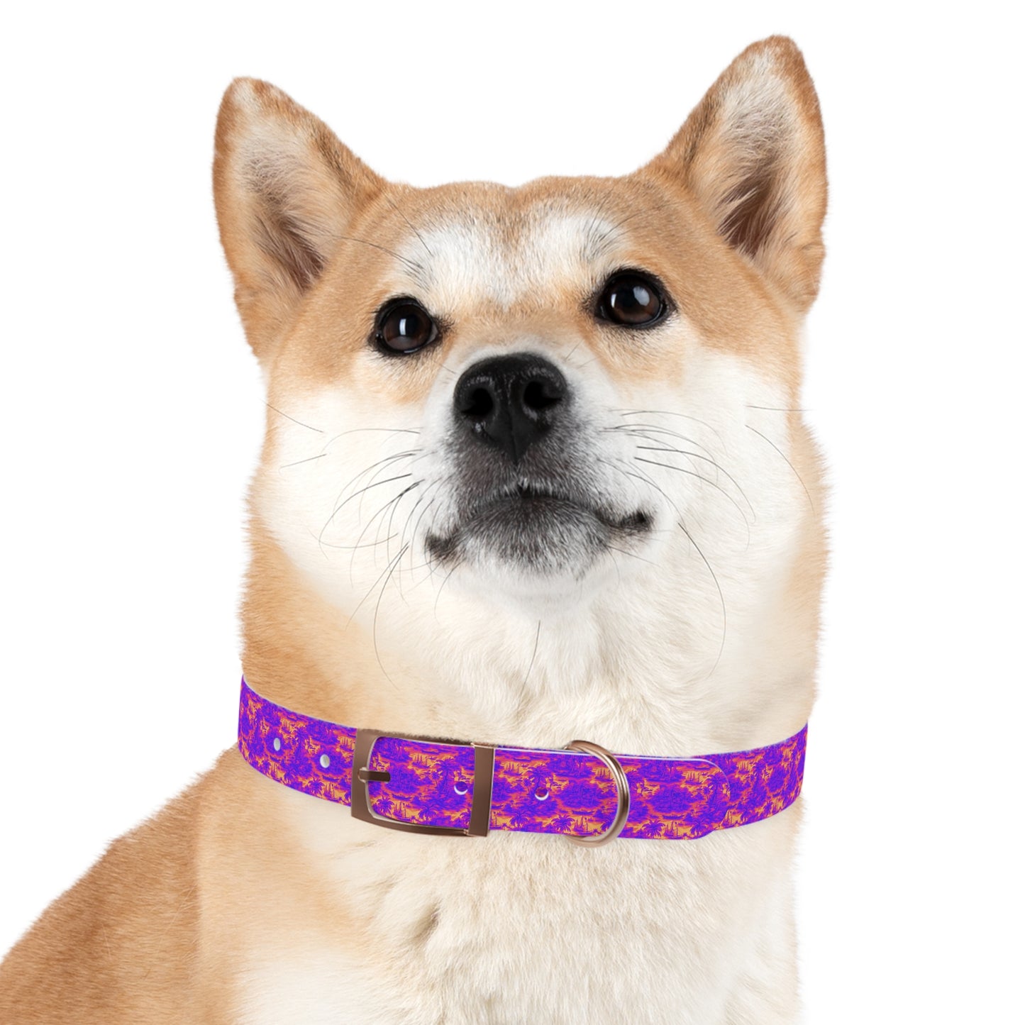 Dog Collar - Crazy Cool Tropical Toile