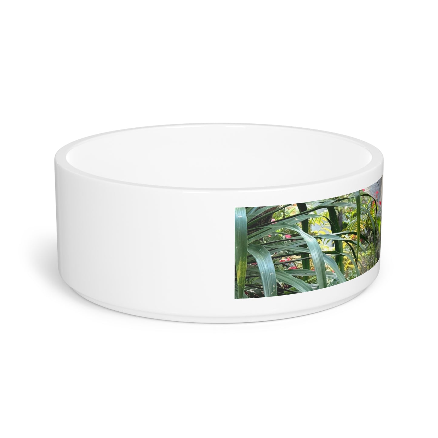 Pet Bowl, Misty Rainforest River