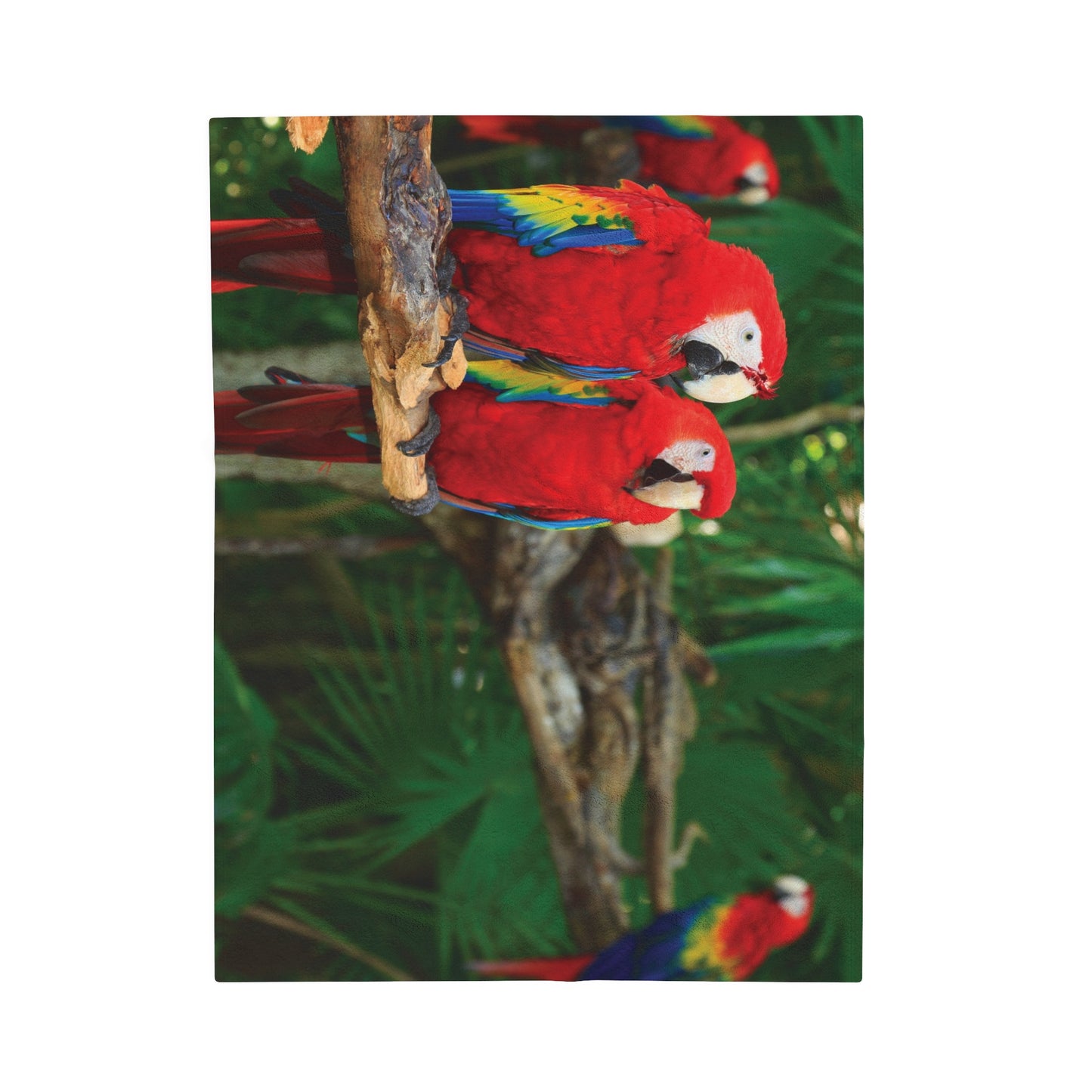 Tropical Parrot Velveteen Plush Blanket - Cozy Home Decor for Nature Lovers