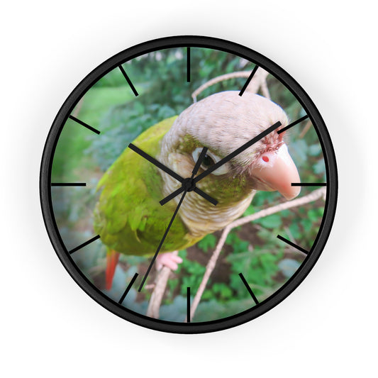 Wall Clock, Spunky Parrot, Hands/Base Variants