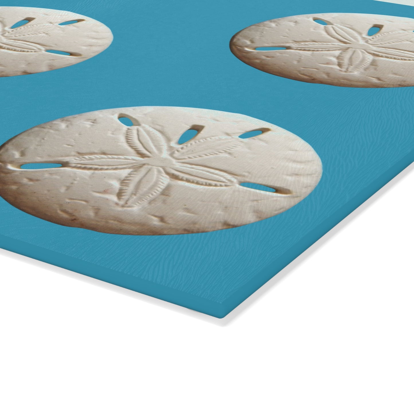 Glass Cutting Board, 2 sizes - White Sand Dollar/Turquoise