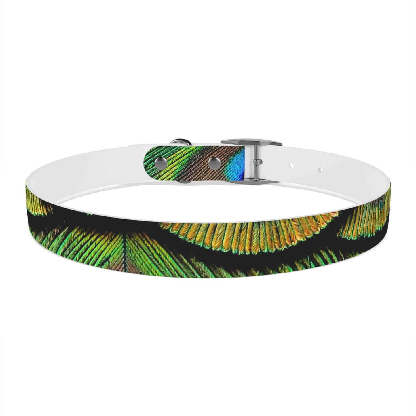 Dog Collar - Brilliant Green Peacock Feathers