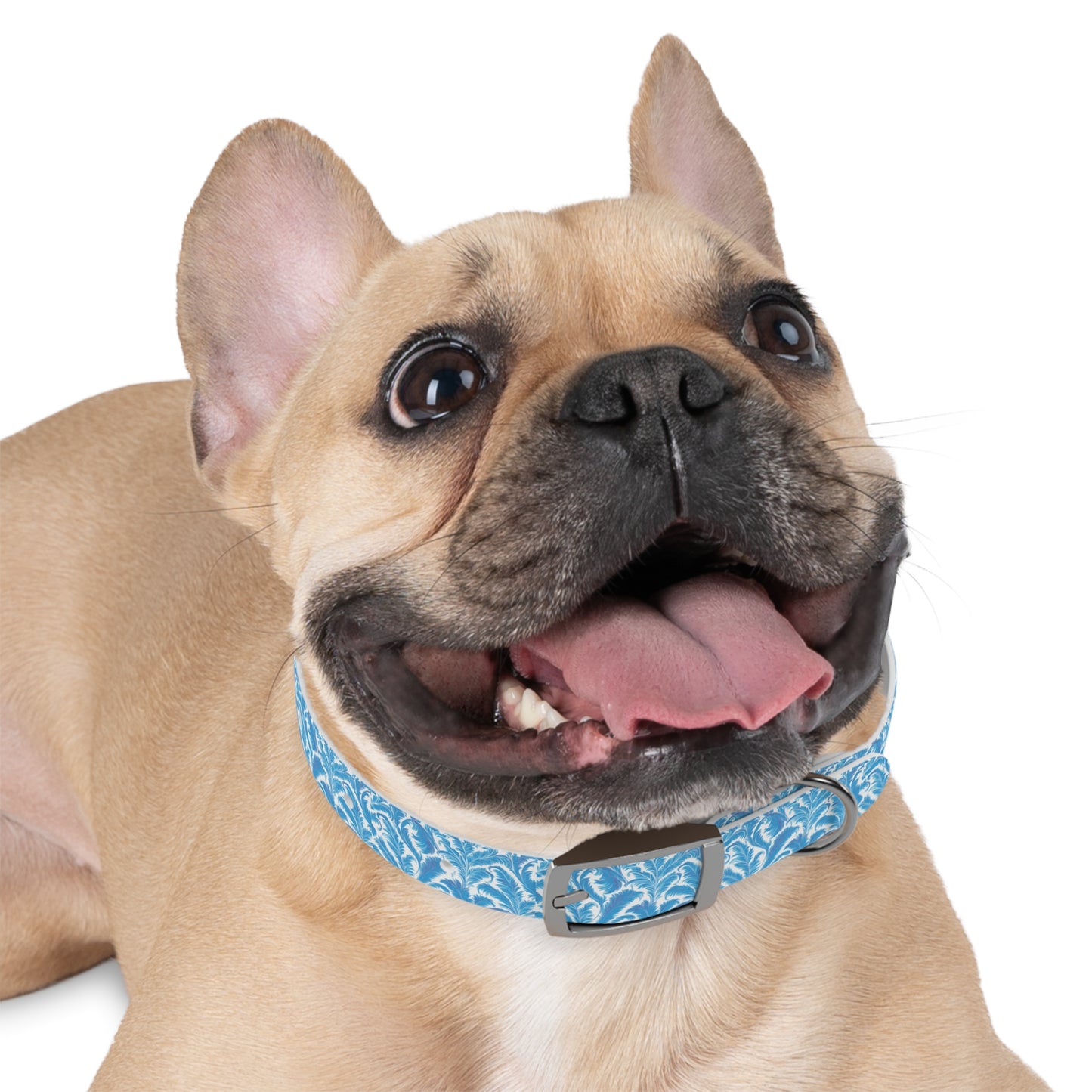 Tropical Dog Collar - Rocco Blues