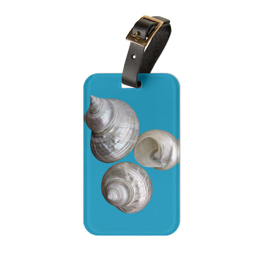 Luggage Tag - White Nautilus Trio, turquoise