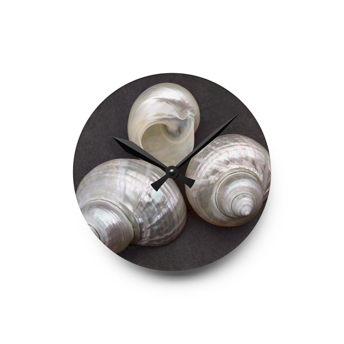 Acrylic Wall Clock, White Nautilus Trio, Variants