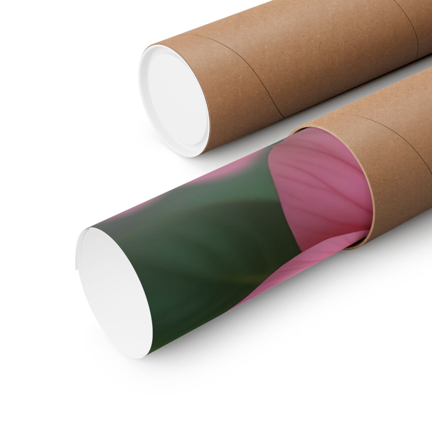 Tropics Floral Matte Poster — Coffee Bloom