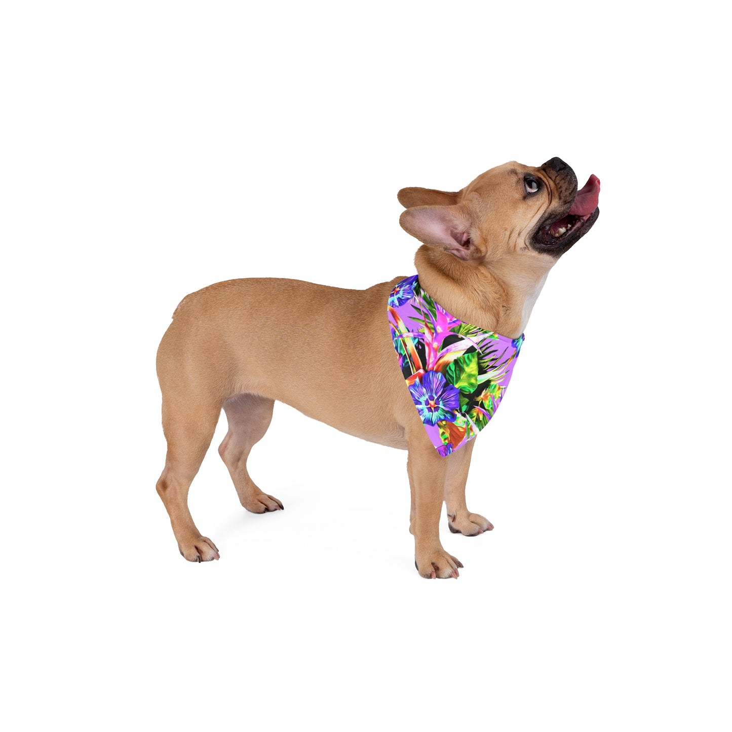 Pink Plant Palooza Tropical Pet Bandana, 2 Sizes - Stylish accessory for dogs & cats