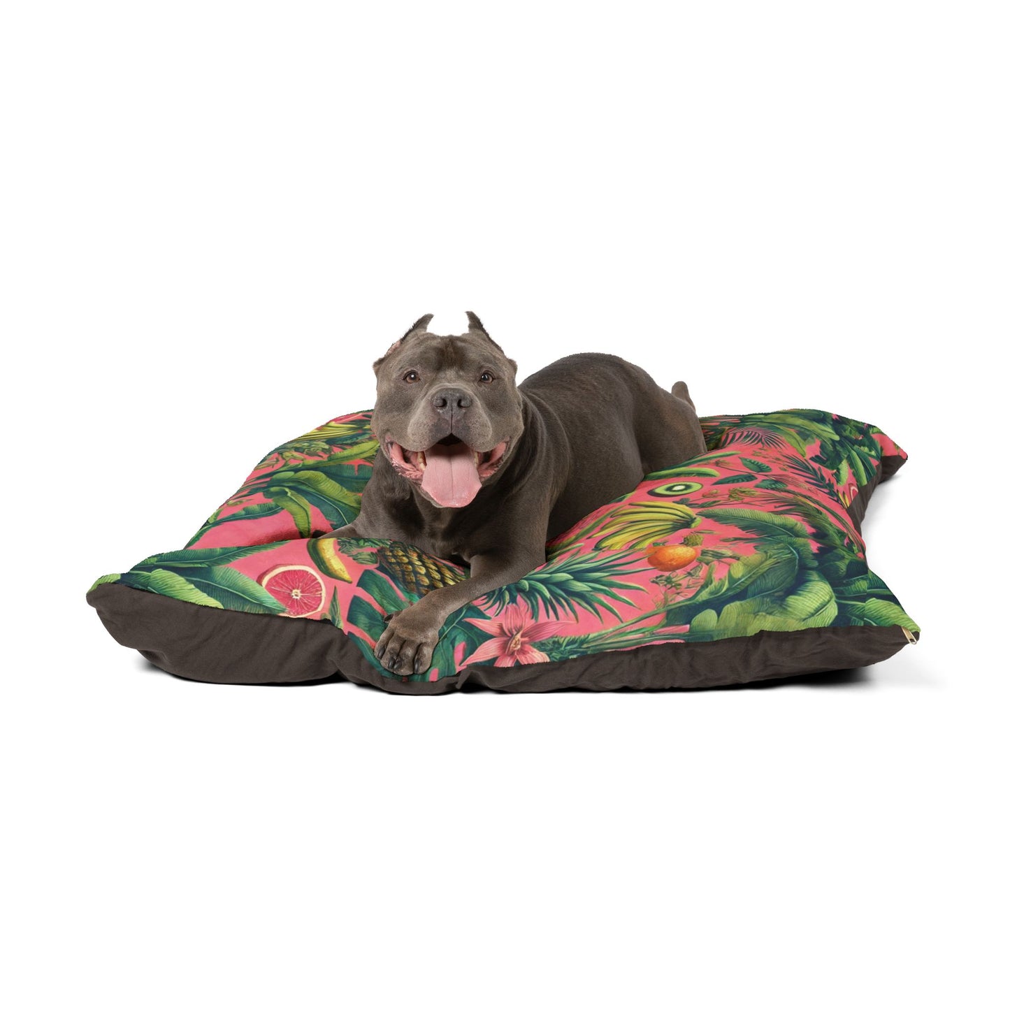Pet Bed - Cozy and Fun Dog or Cat Bed for Beach Lovers / More Tropical Fruit, Coral
