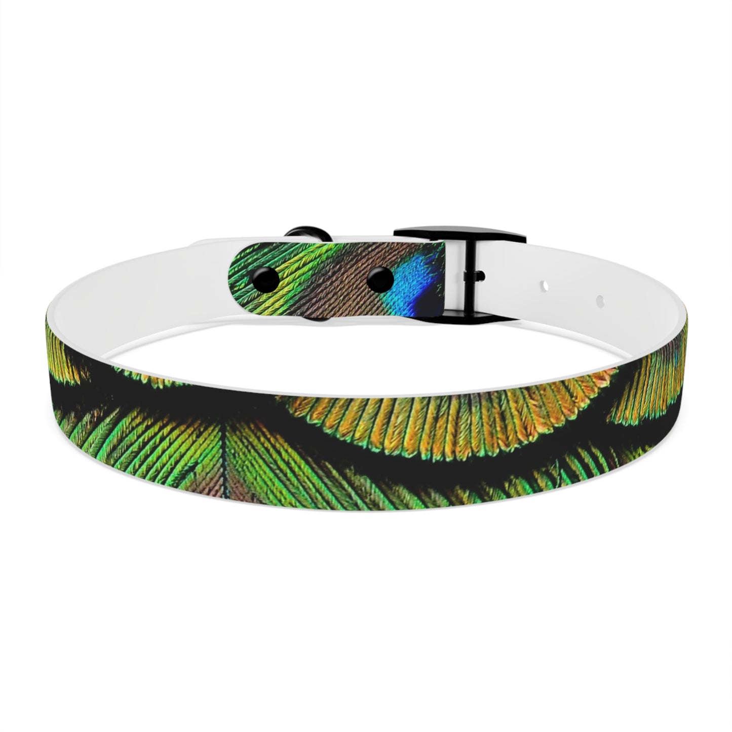 Dog Collar - Brilliant Green Peacock Feathers