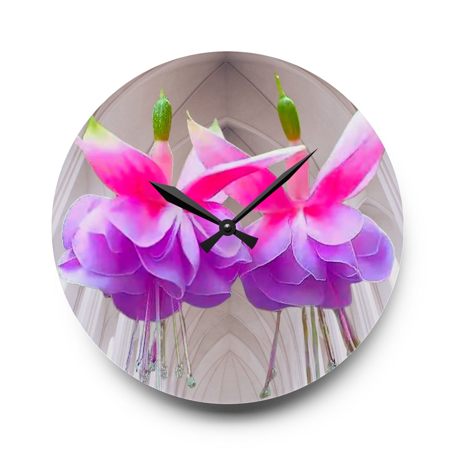 Acrylic Wall Clock, Two Fuchsias, 4 Variants