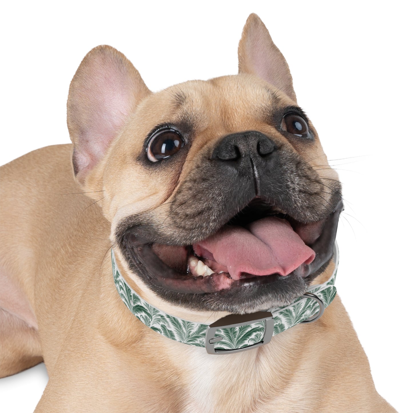 Tropical Dog Collar - Rocco Green