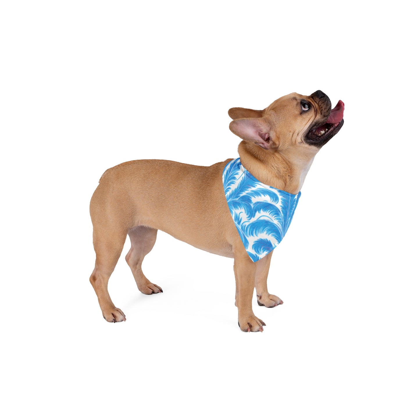 Rocco Blues Pet Bandana, 2 Sizes - Stylish accessory for dogs & cats