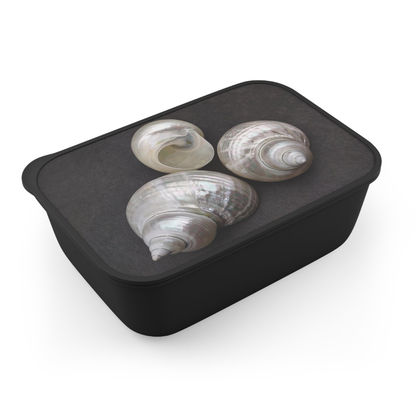 Bento Box with Utensils - White Nautilus Trio