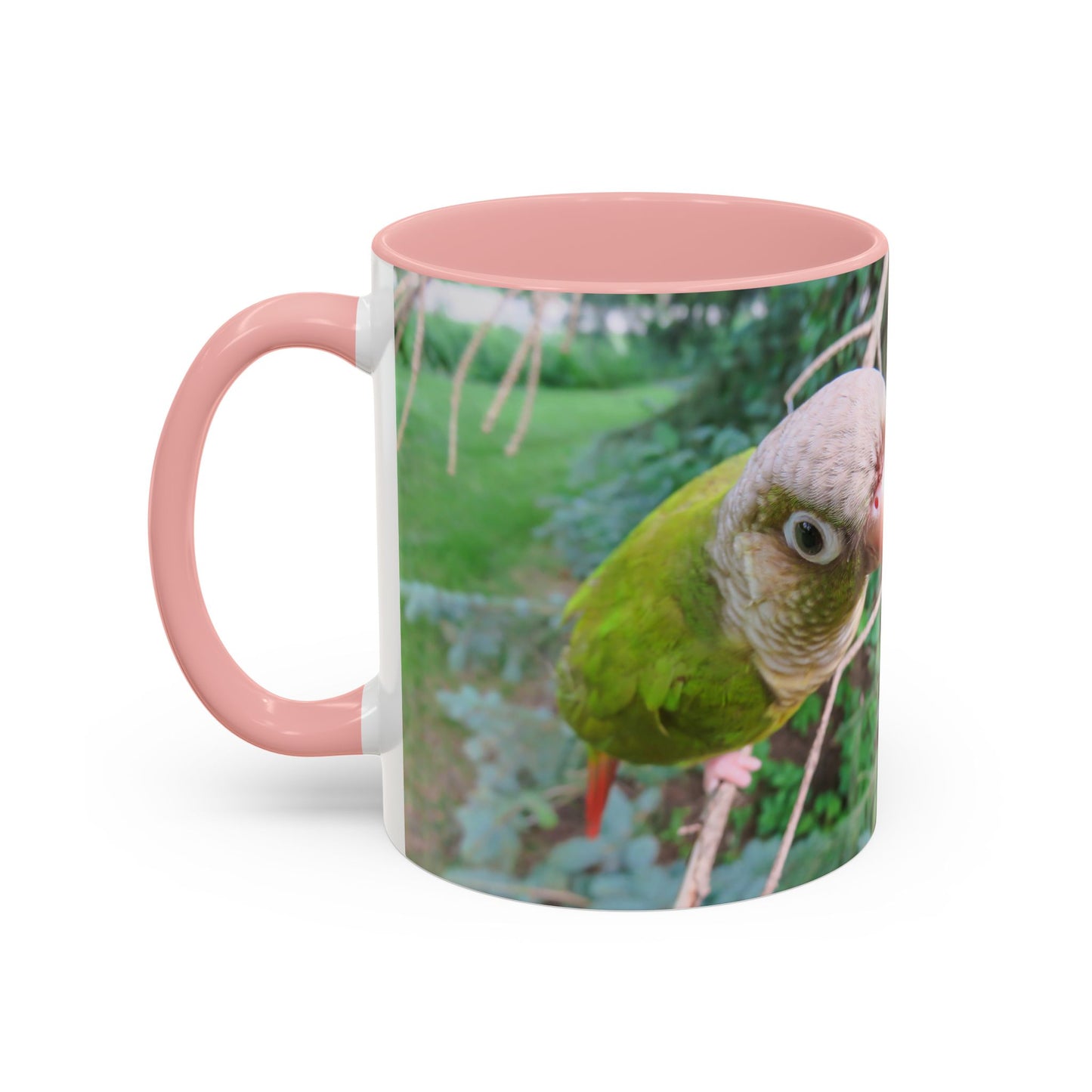 Parrot Accent Coffee Mug (11, 15oz), 8 Colors - You Look Guilty!