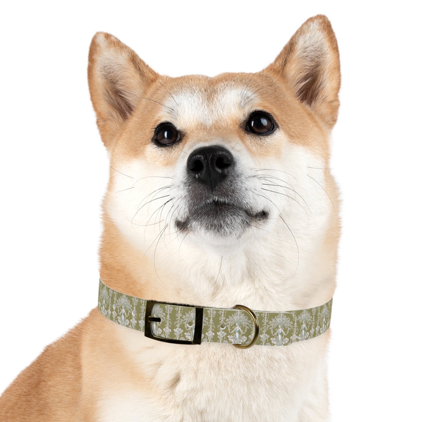 Dog Collar - Pearl Lady Toile, highborn green