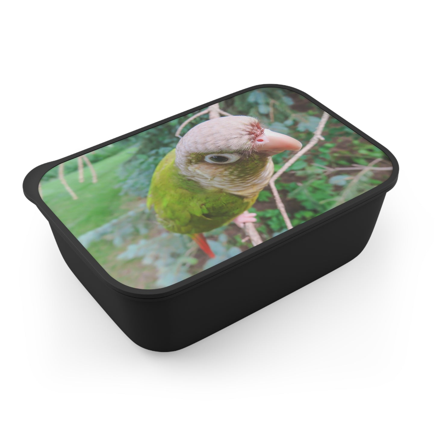 Bento Box with Utensils - Sassy Parrot