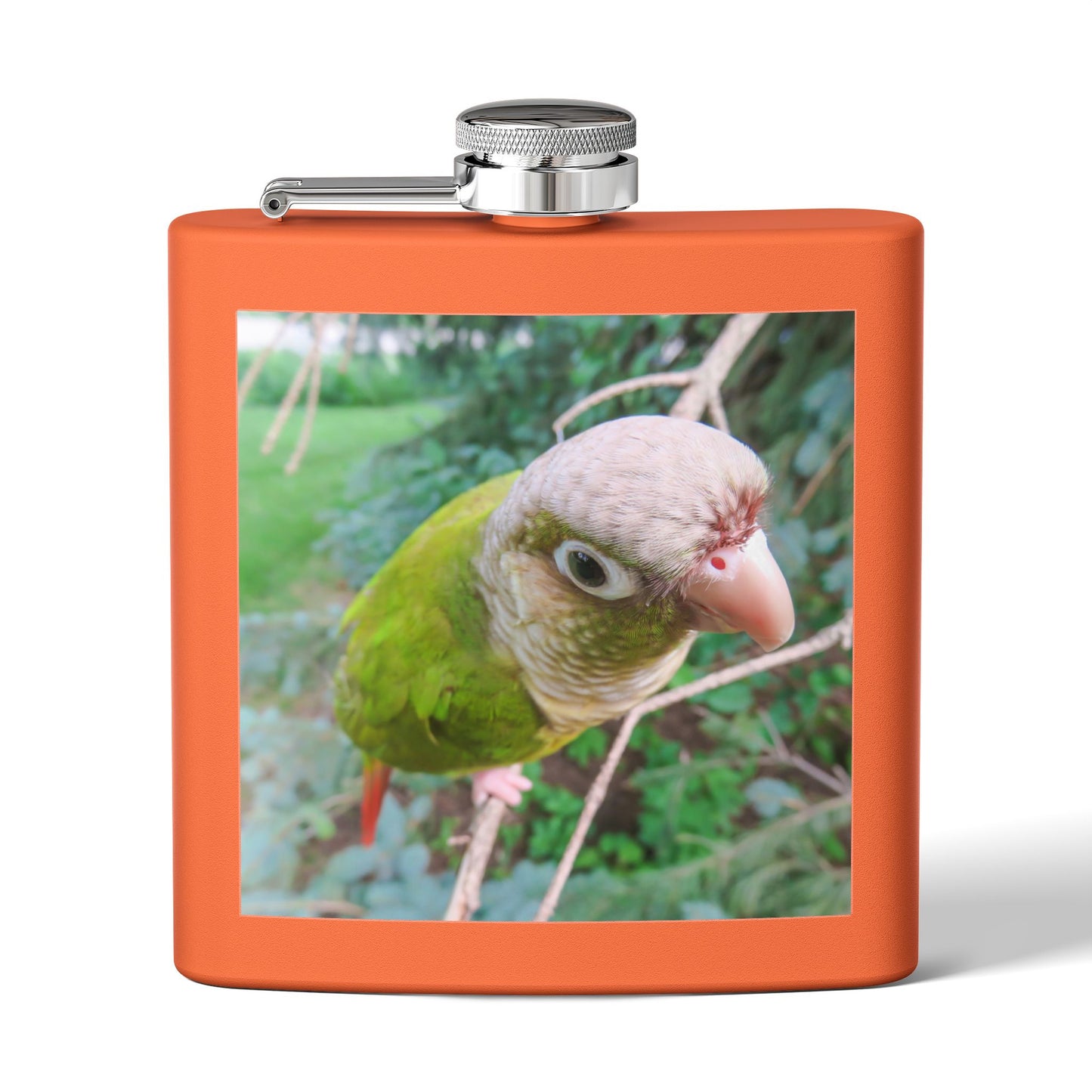 Tropical Stainless Steel 6 oz. Flask, Many Colors  – Sassy Parrot