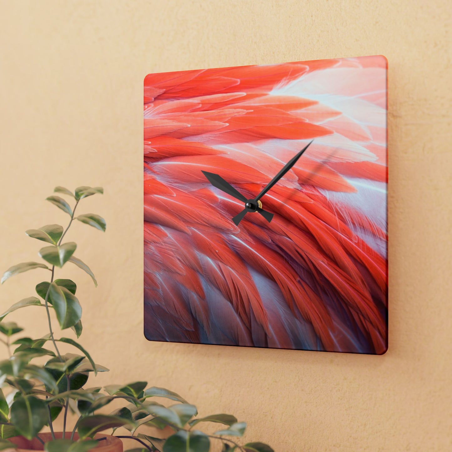 Acrylic Wall Clock, Real Flamingo Feathers