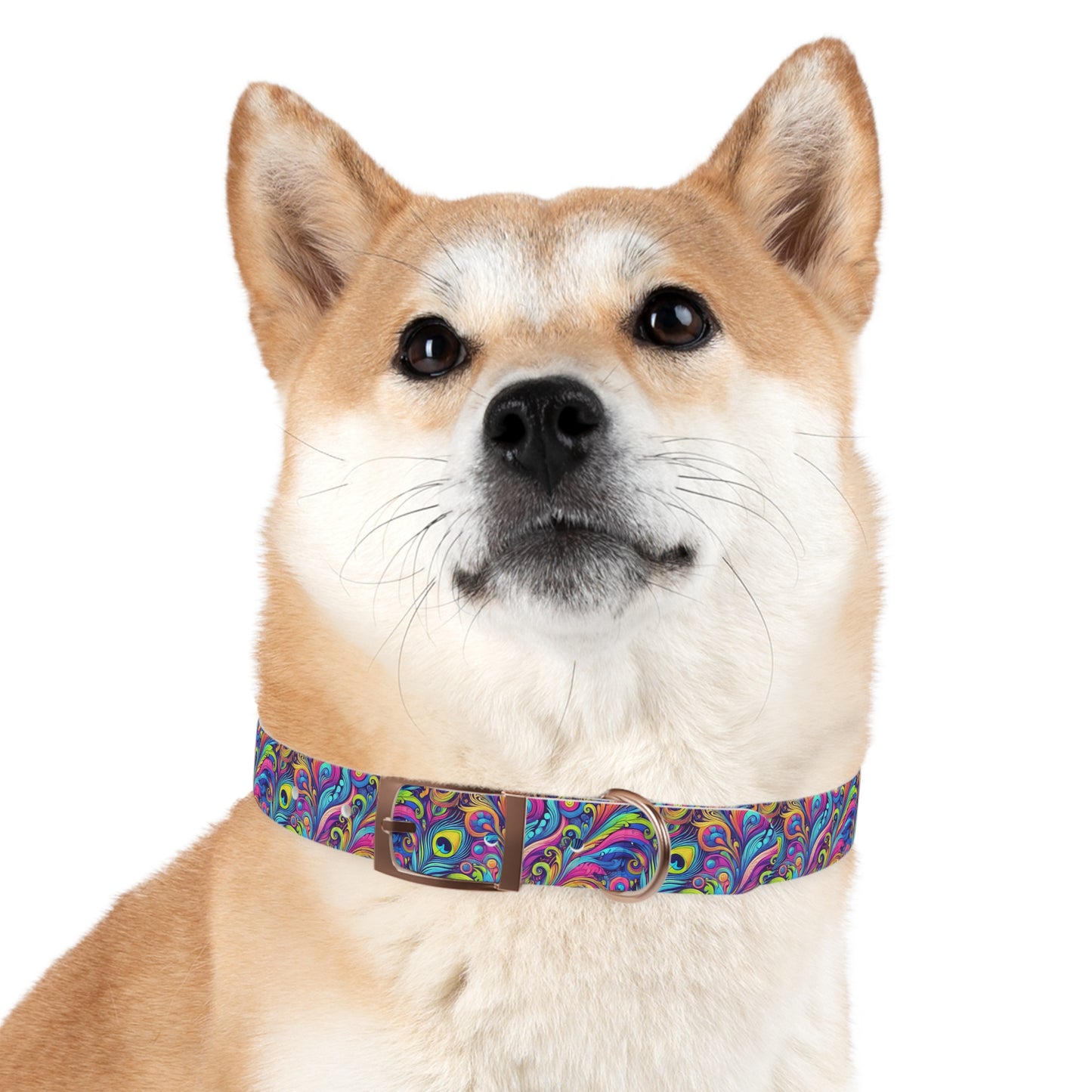 Tropical Dog Collar - Fun and Playful Pet Accessory / Feather Currents Pop