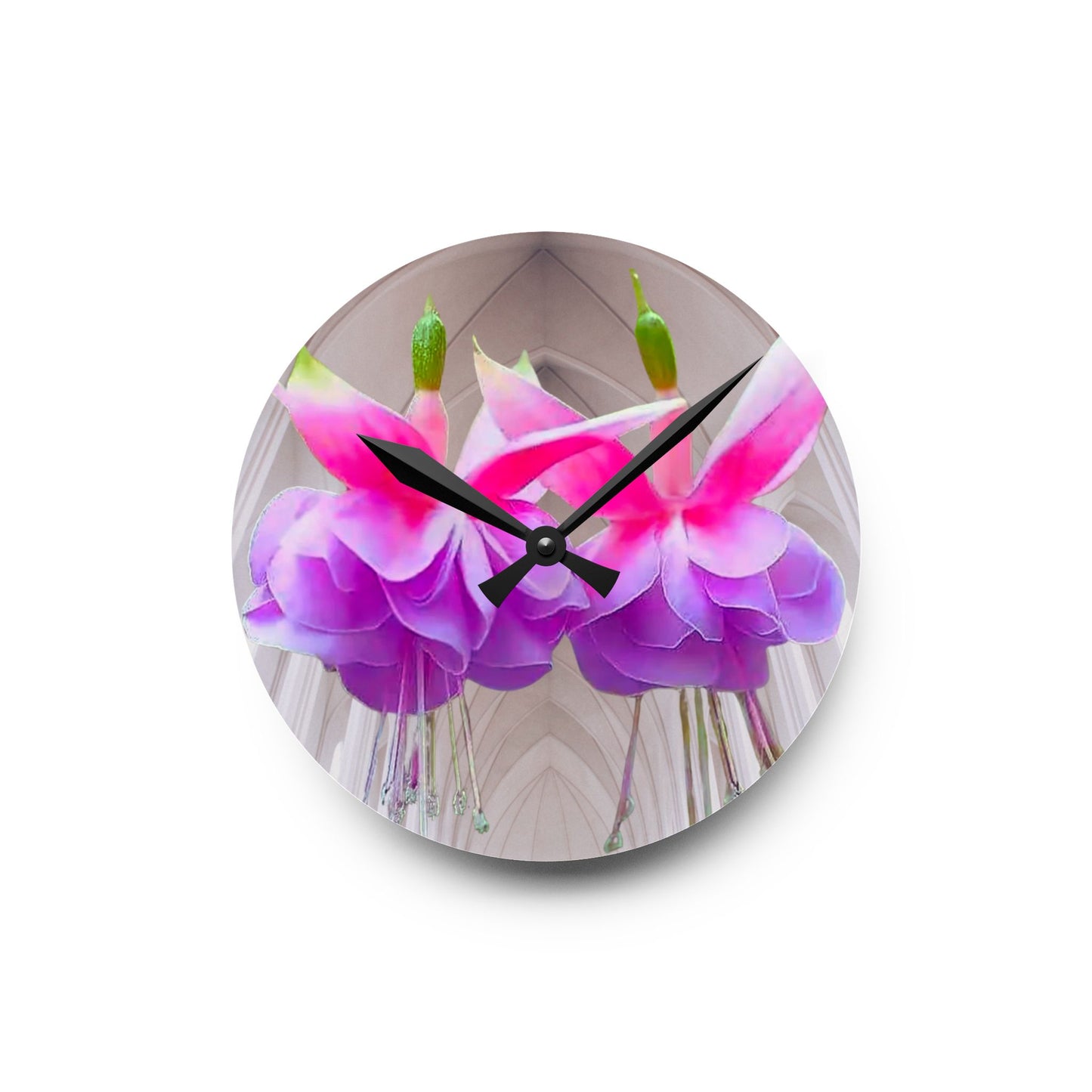 Acrylic Wall Clock, Two Fuchsias, 4 Variants